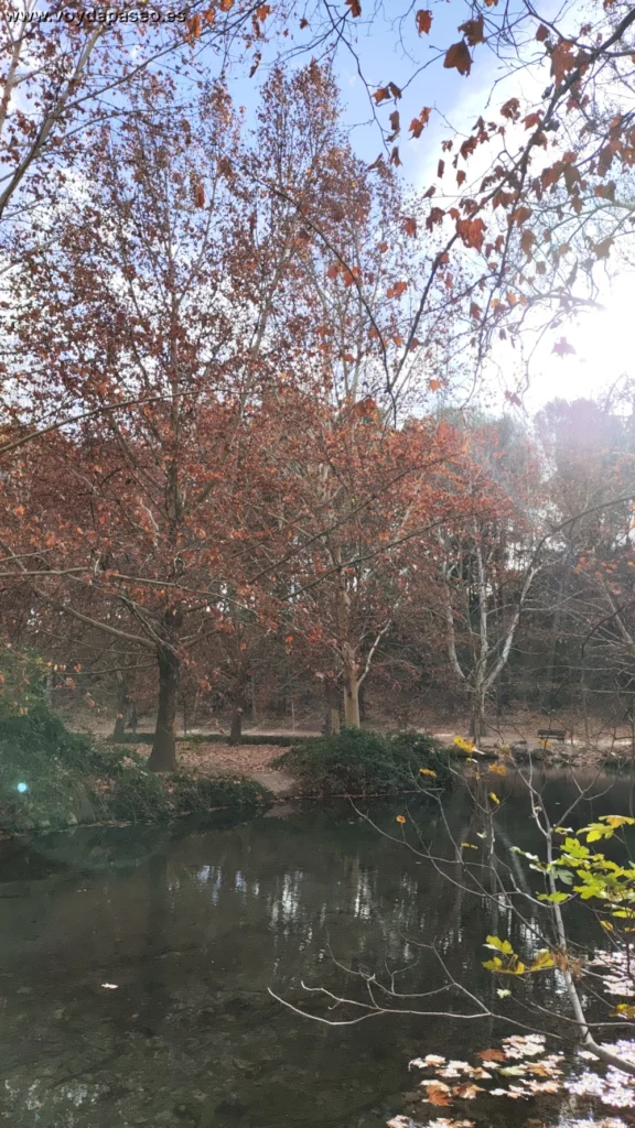 IMG 20231208 111806